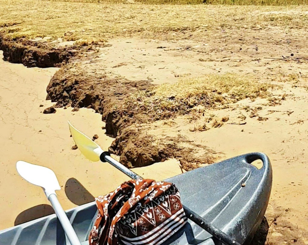 Action Outdoor Hire-棕榈海滩必去景点