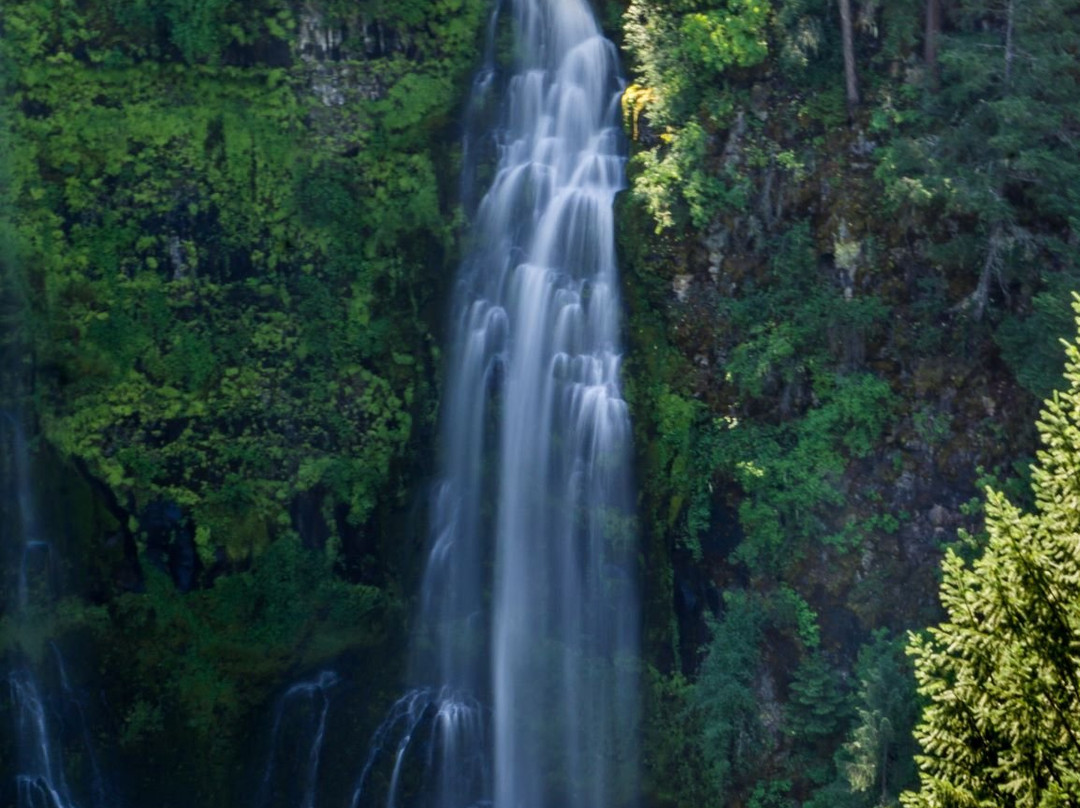 Mill Creek Falls-Prospect必去景点