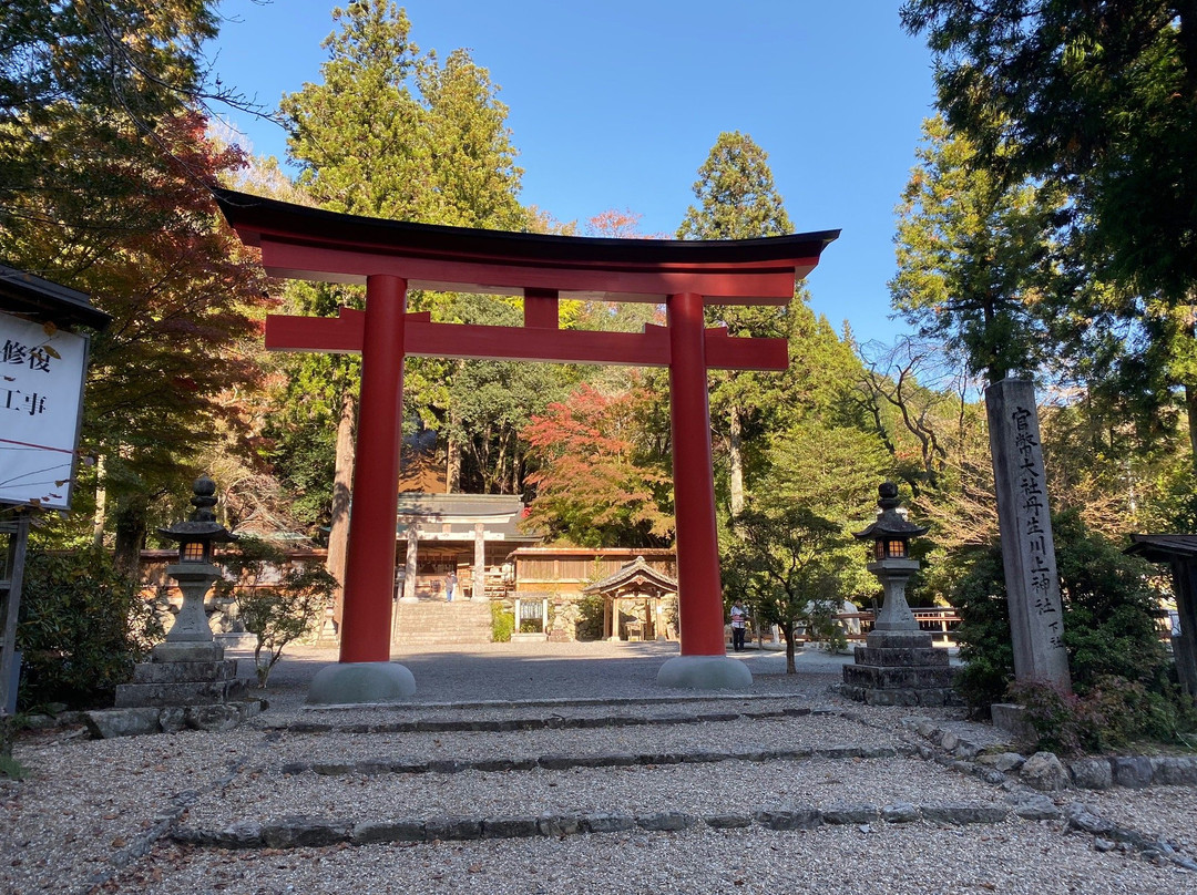 Niukawakami Shrine Shimosha景点图片