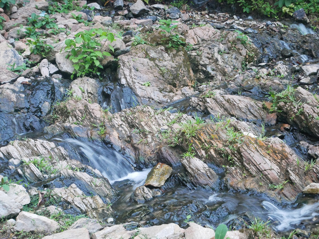 Ikogosi Warm Springs景点图片