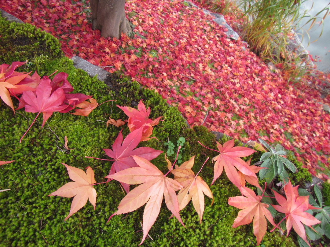 Kamisunagawa Dakenihon Teien-上砂川町必去景点