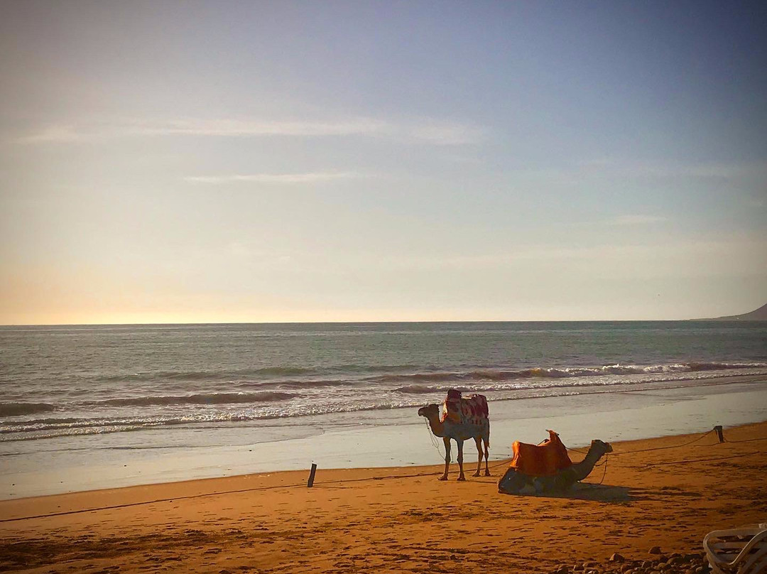 Paradis Plage Surf Yoga & Spa Resort主图