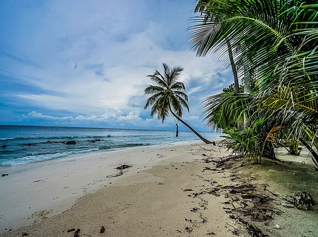 Maclura Residence主图