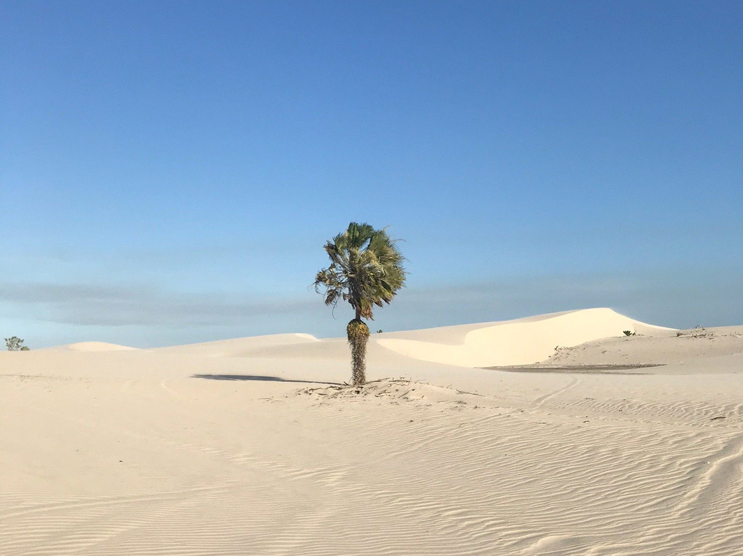 Amor Island-Camocim必去景点