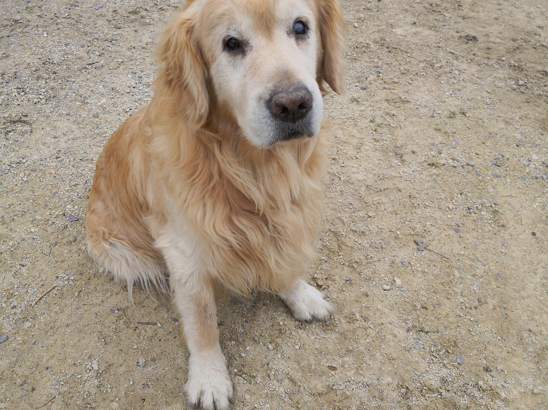 Williams Tree Farm-Rockton必去景点
