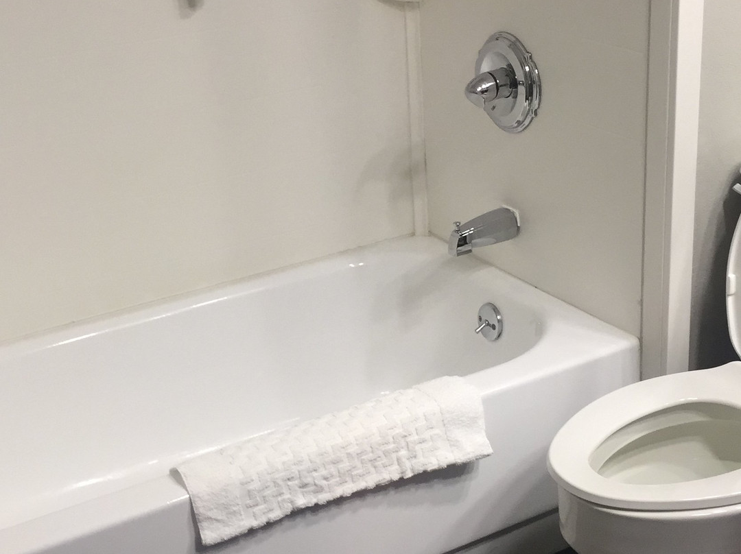 Best Western Plus Bloomington East Hotel主图