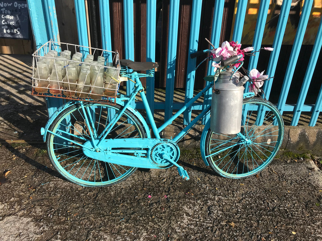The Kerry Creamery Experience