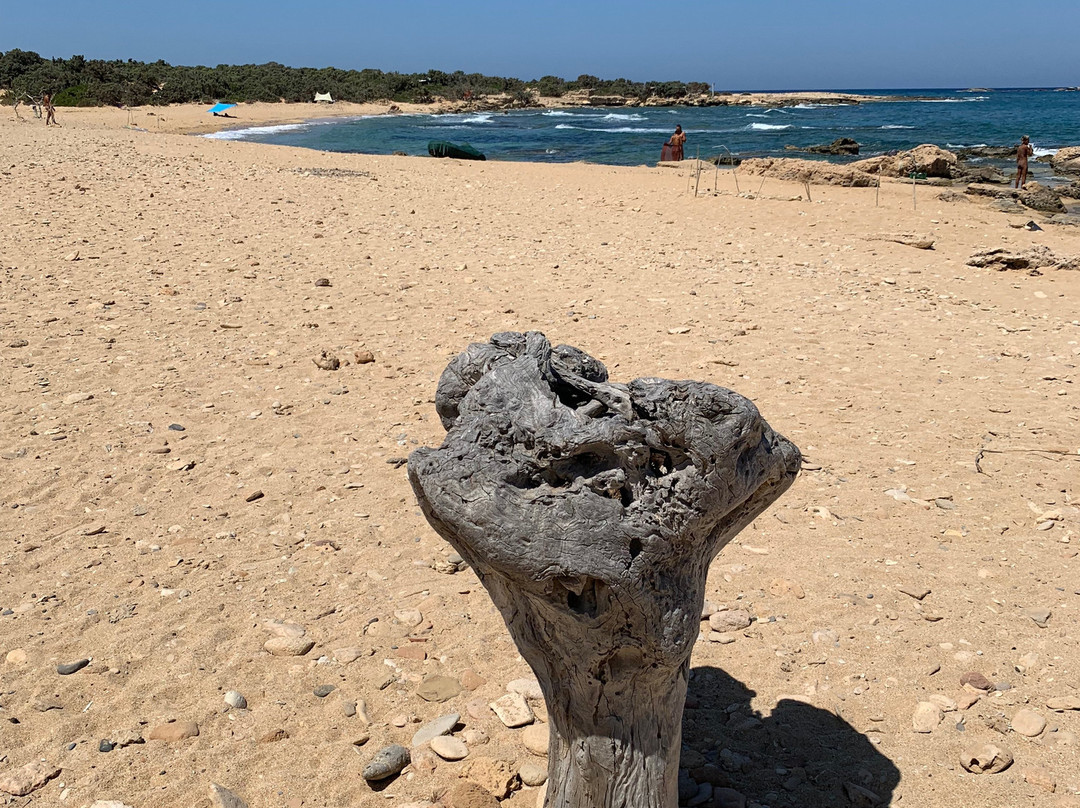 Lavrakas Beach-Gavdos必去景点