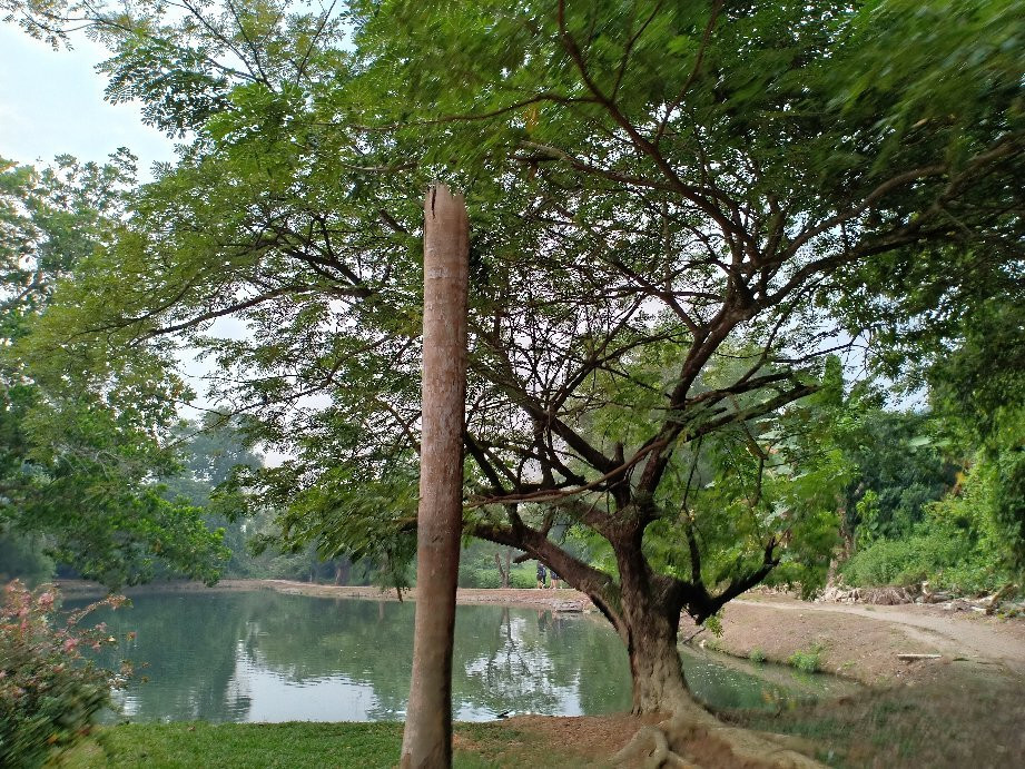 Taman Tasik Bandar-Temerloh必去景点