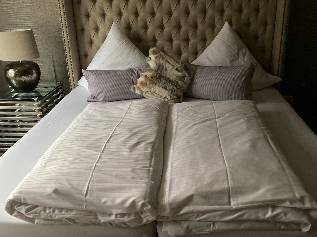 Hotel Luisenpark主图