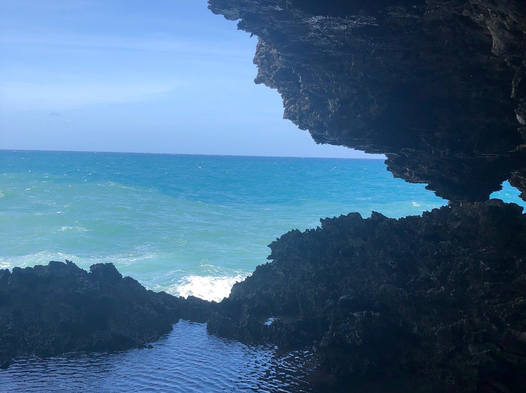 Williams Tours Barbados-布里奇顿必去景点