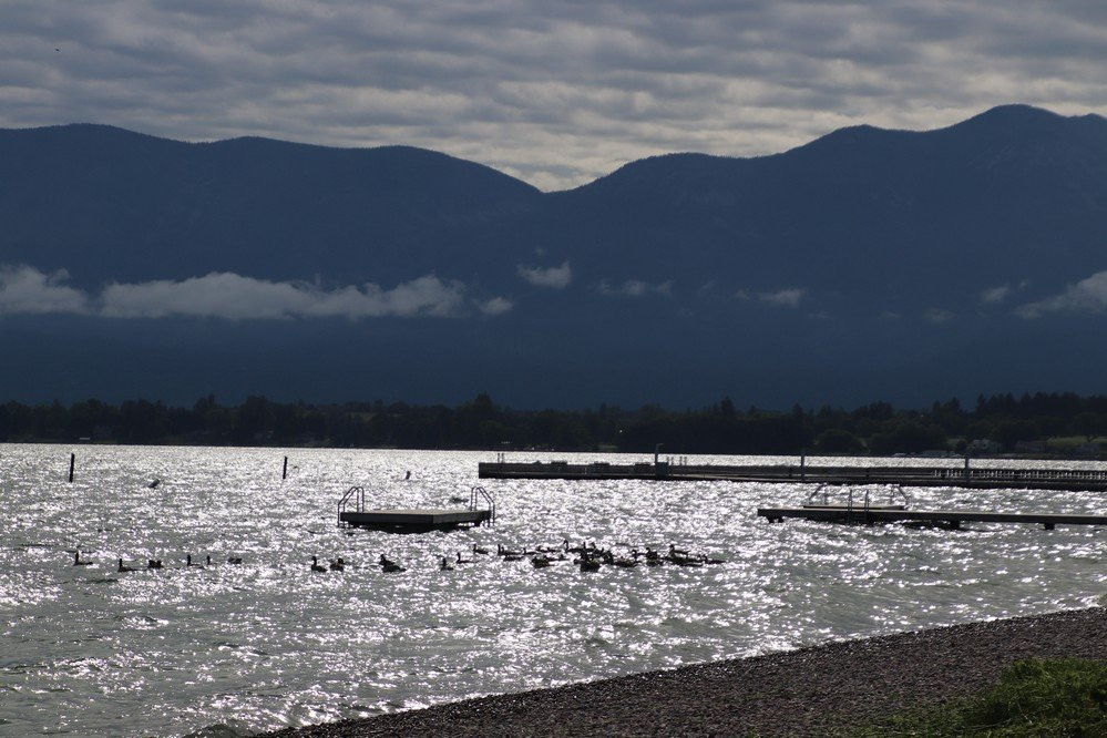 Point Salish Park-Polson必去景点