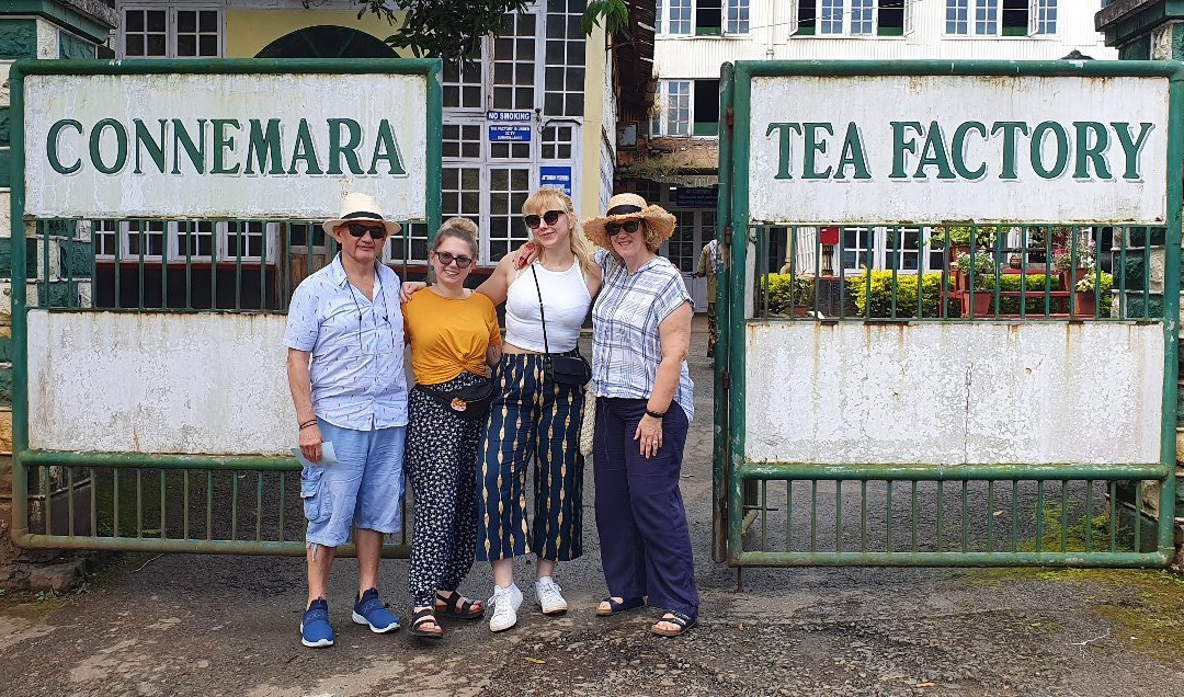 Connemara Tea Factory景点图片