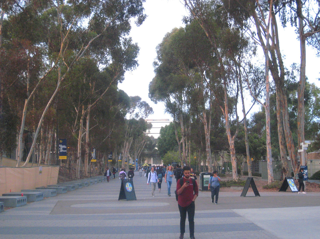 加州大学圣地亚哥分校-拉荷亚必去景点