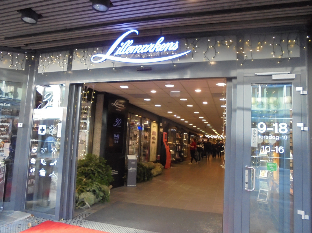 Lillemarkens Shopping景点图片