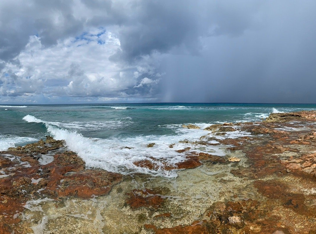 Froggies Ultimate Tours-普罗维登西亚莱斯必去景点