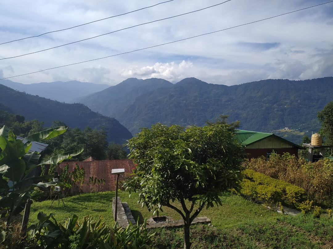 Dhungay Homestay主图