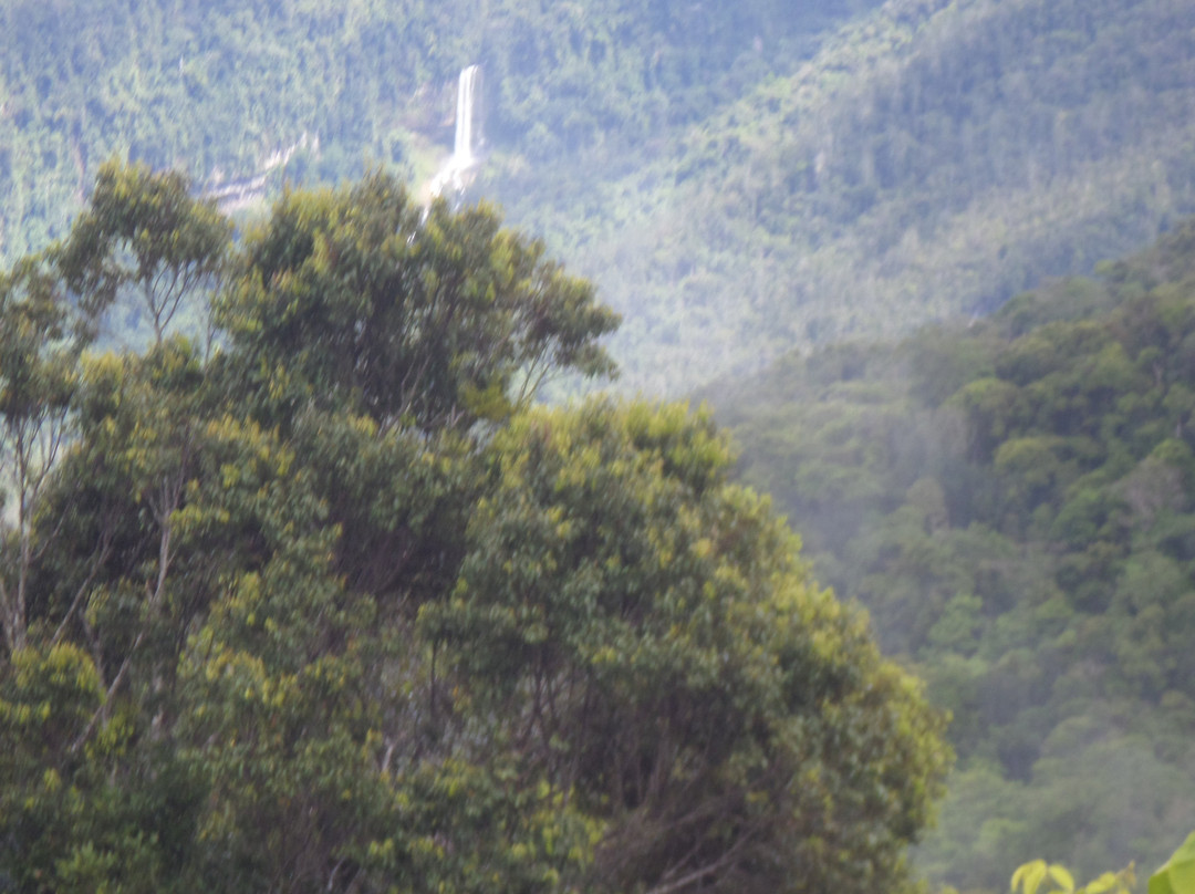 Baliem Valley Tour Guide景点图片