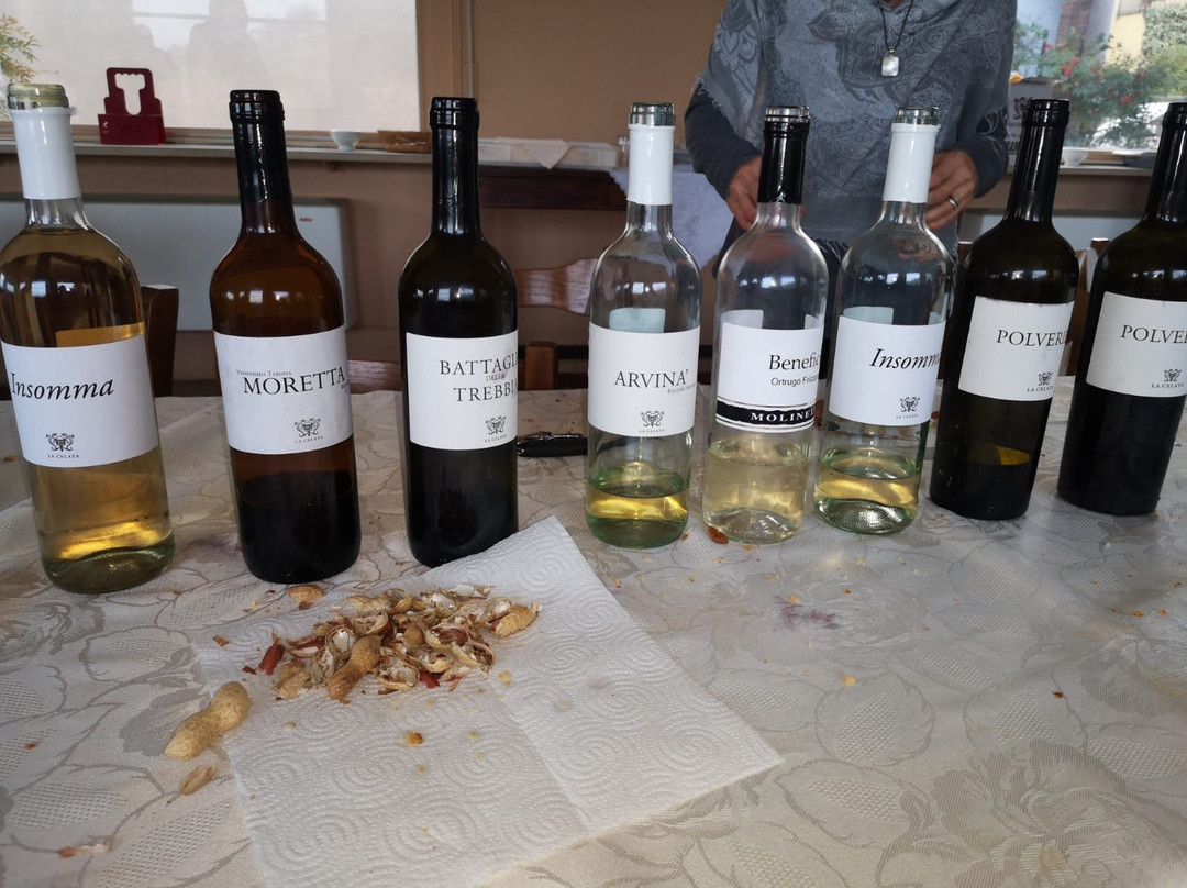 Azienda Agricola Molinelli-Ziano Piacentino必去景点