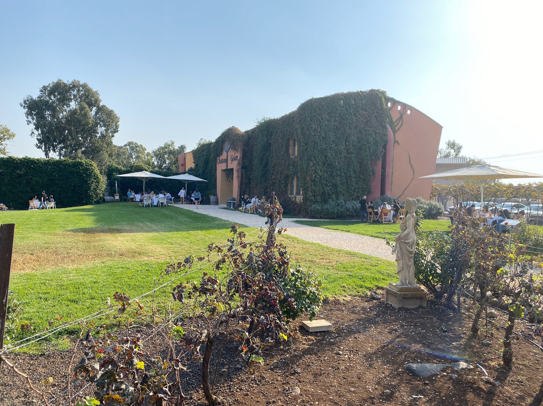 Chateau Golan Winery-戈兰高地必去景点