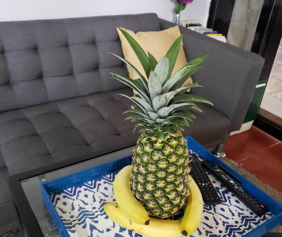 Better Life Suites & Studio主图