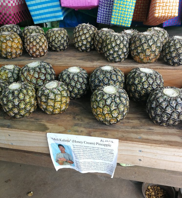 Frankie's Nursery-威玛纳诺必去景点