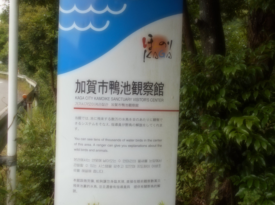 Kamoike Observation Center-加贺市必去景点