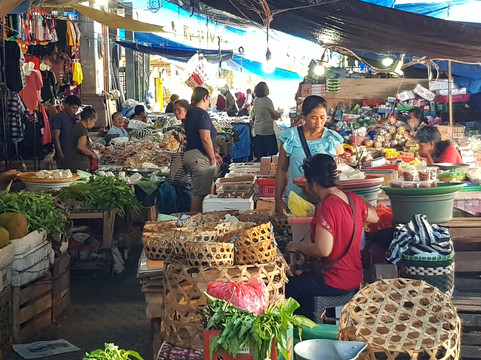 Bali Travel Expert-乌布必去景点