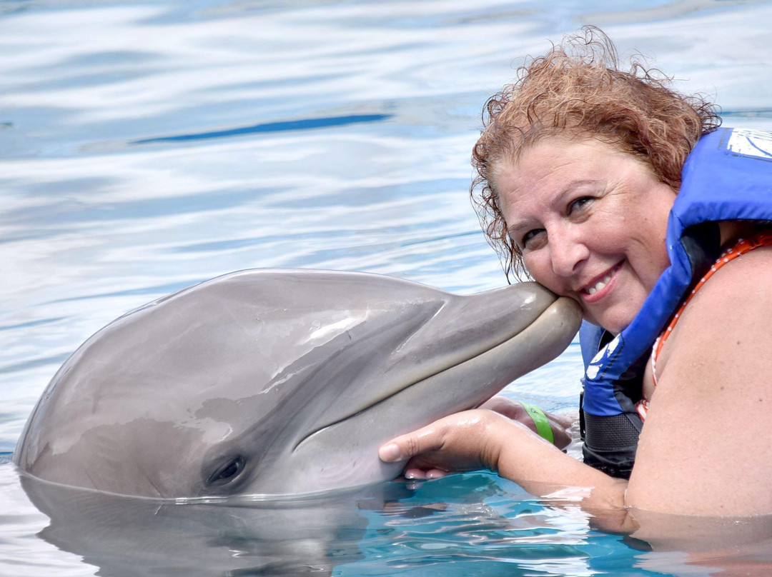 Sea Life Park Animal Encounters-威玛纳诺必去景点