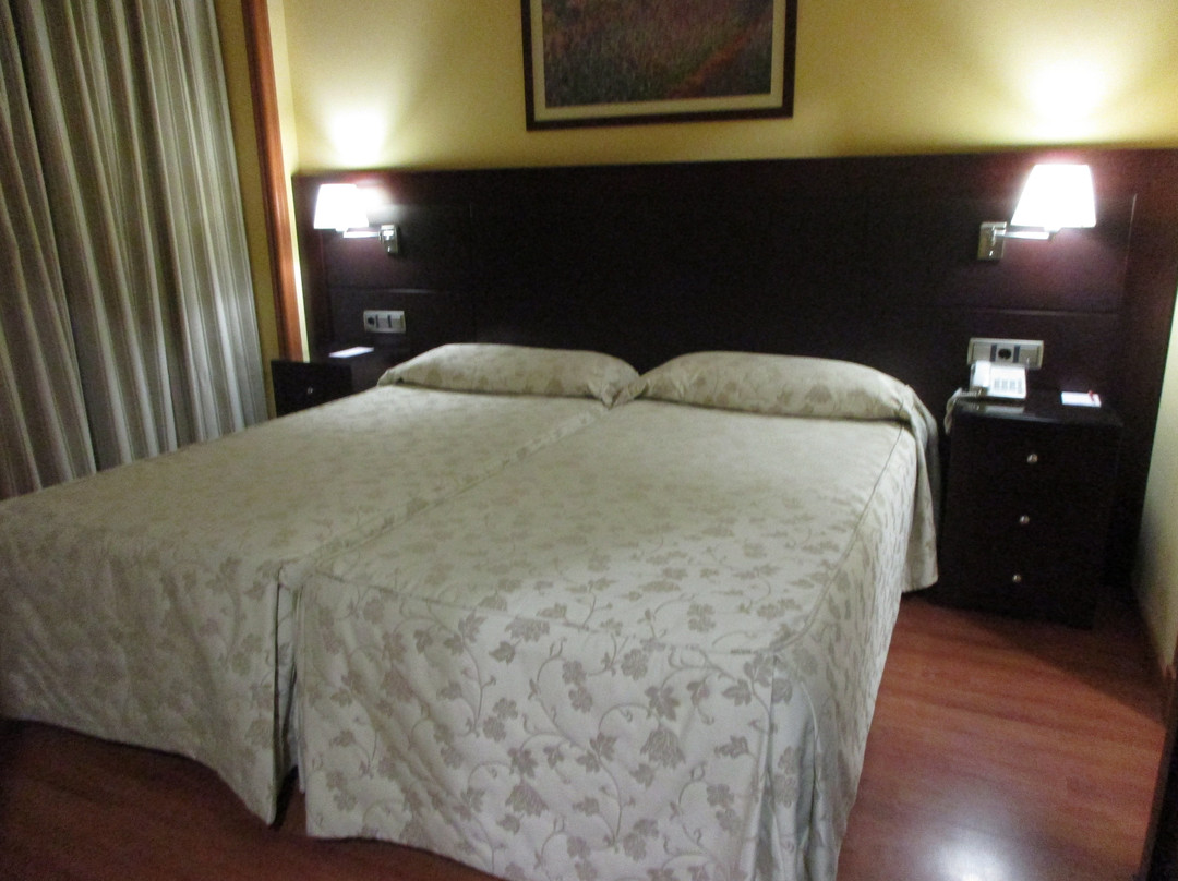 Hotel II Castillas主图