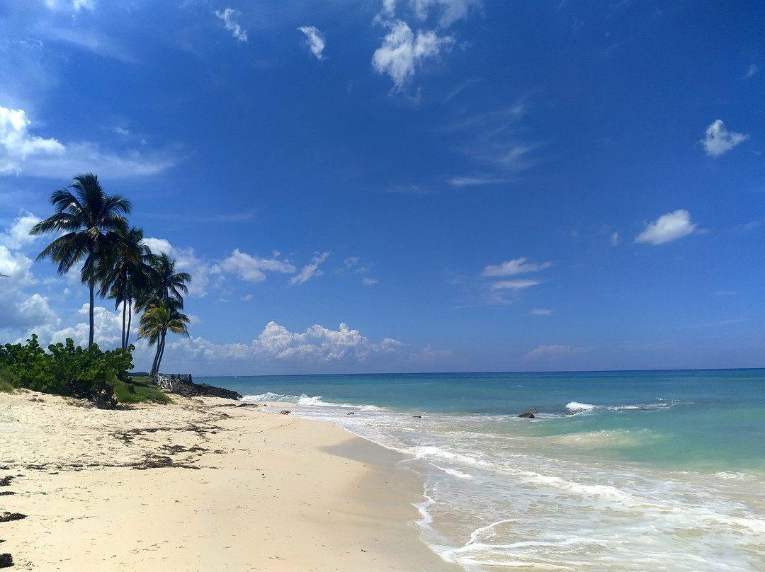 Hostal la Reina主图