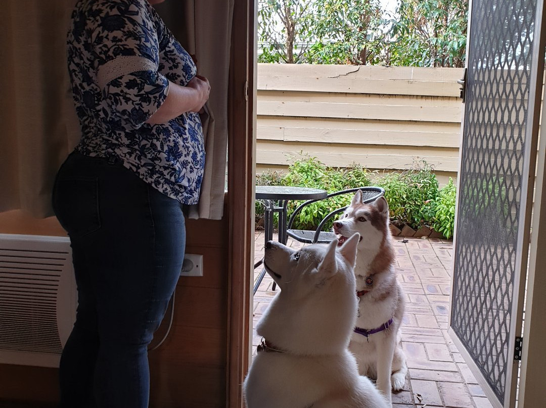 Motel Flinders主图