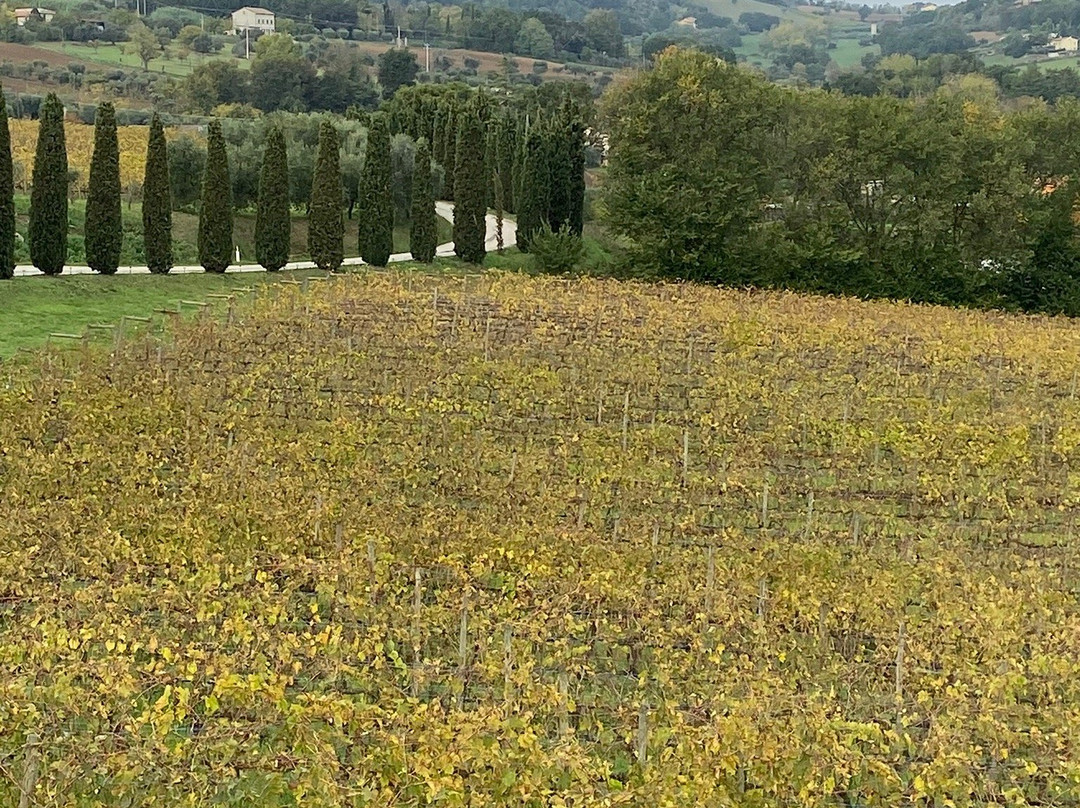 洛坎达芳特佐帕酒店主图
