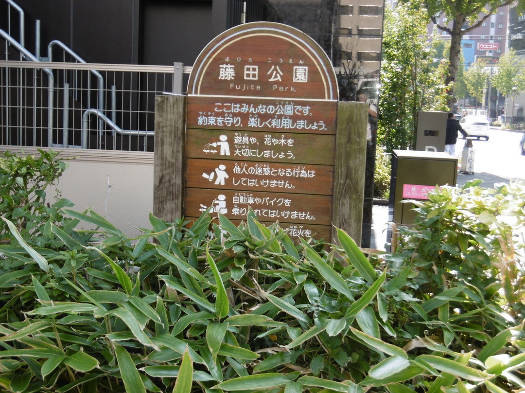 Fujita Park景点图片