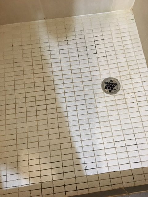 Kallangur Motel主图