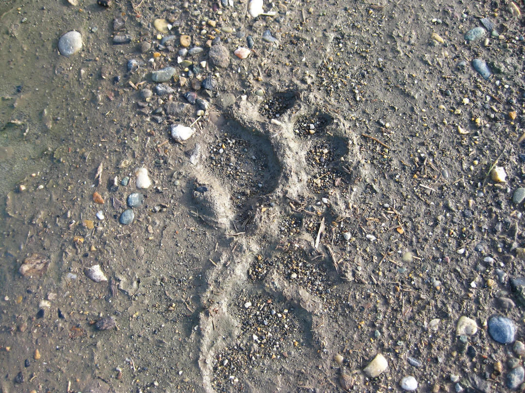 Peace Island Park-Taylor必去景点