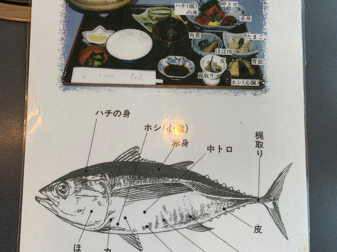 Misaki Port-三浦市必去景点