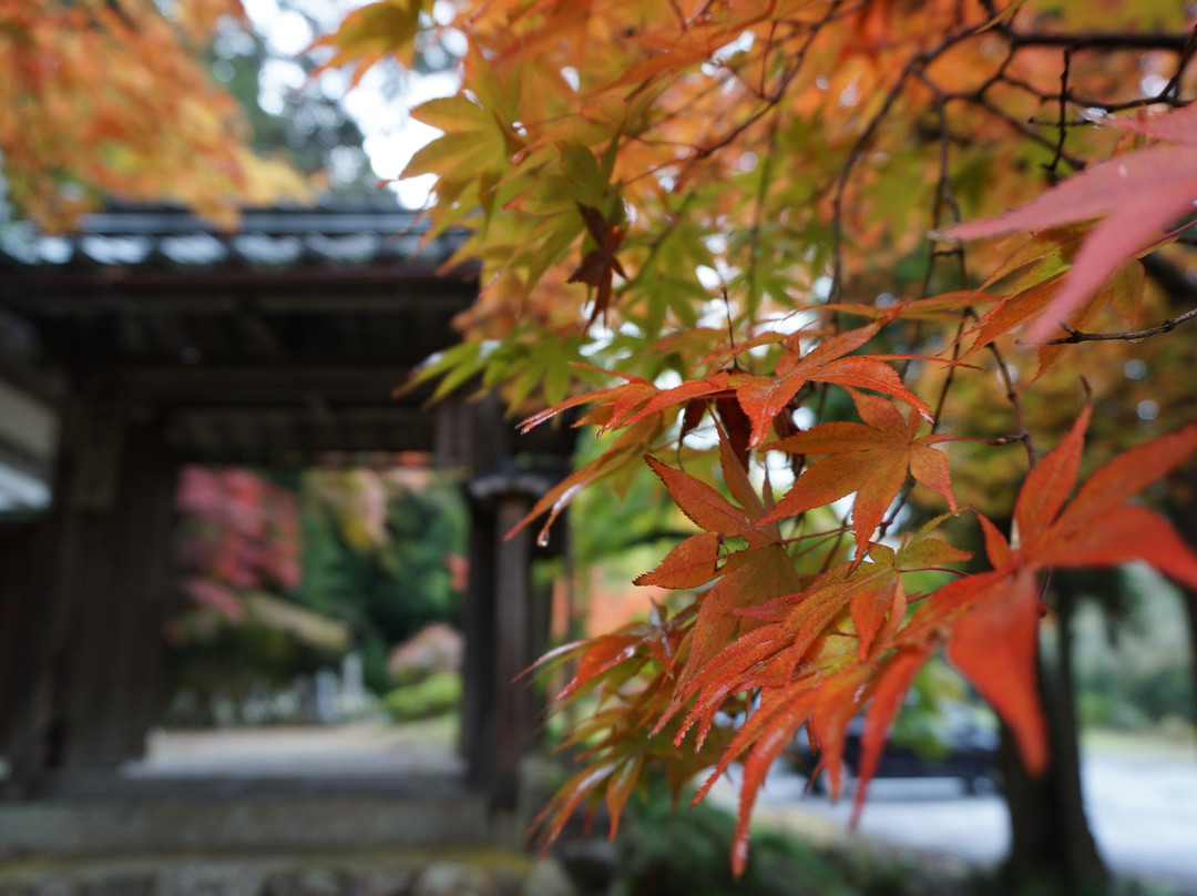 Ankokuji Temple景点图片