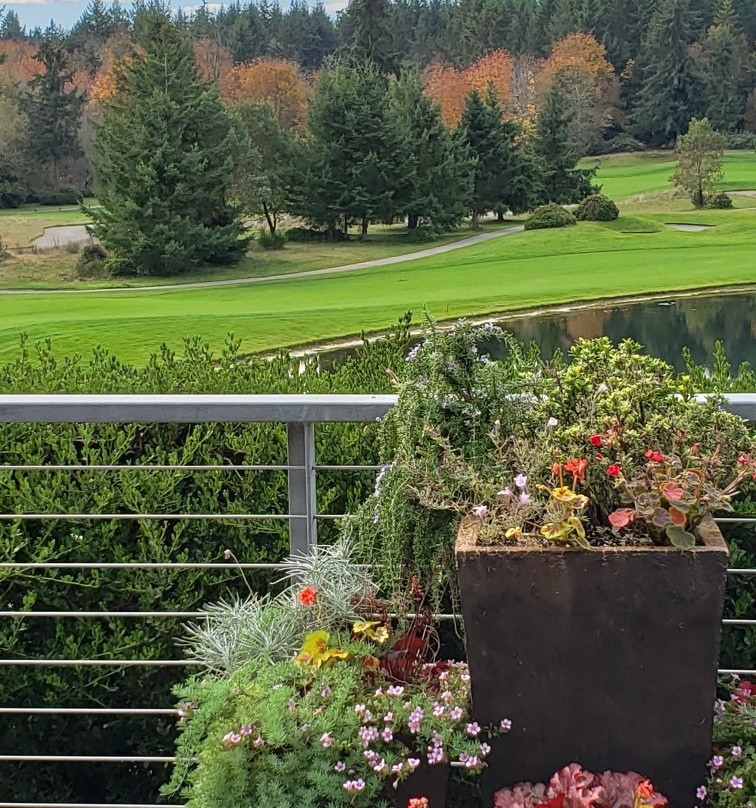 White Horse Golf Club-Kingston必去景点