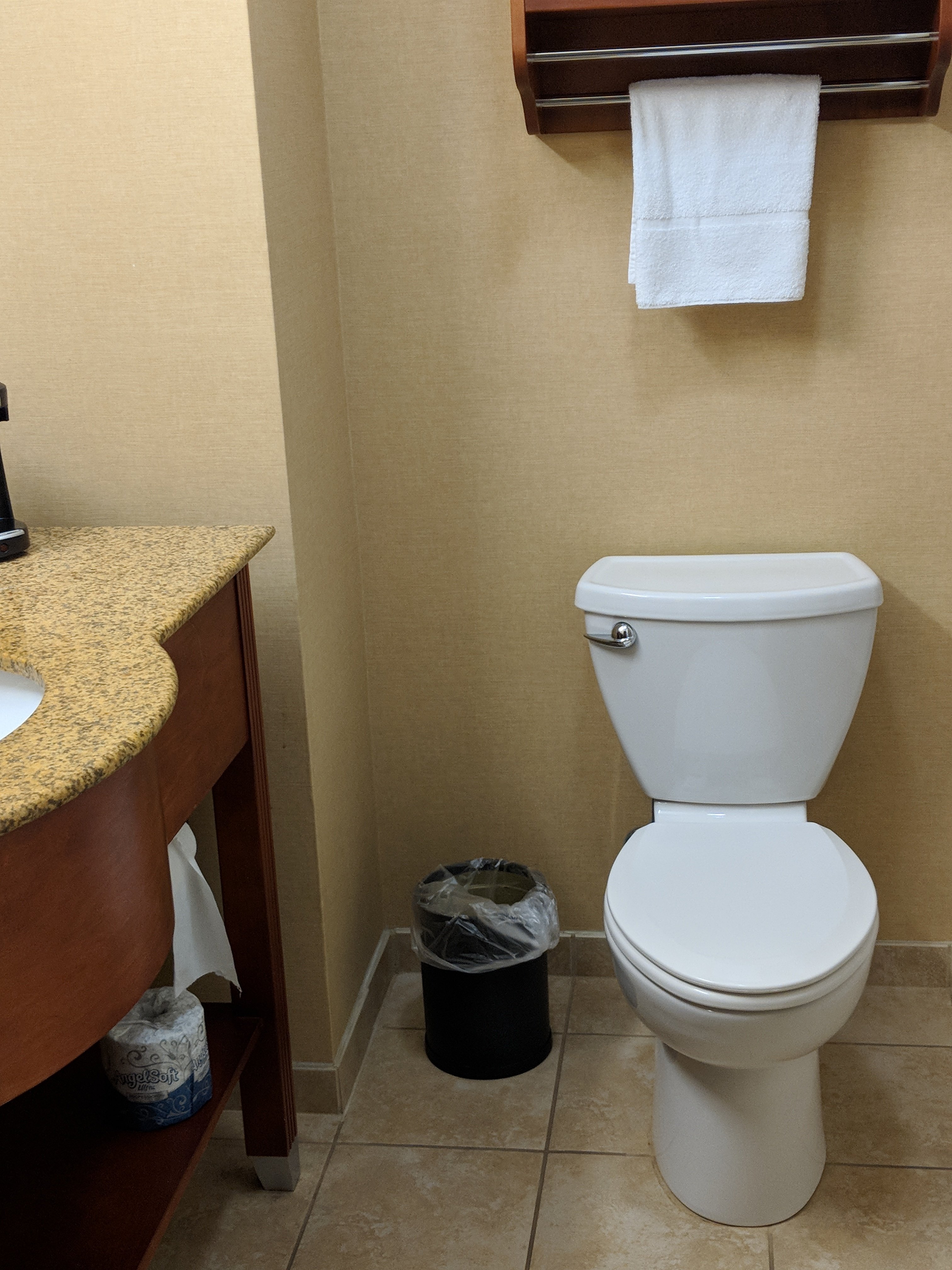 Hampton Inn St. Louis Columbia-浴室