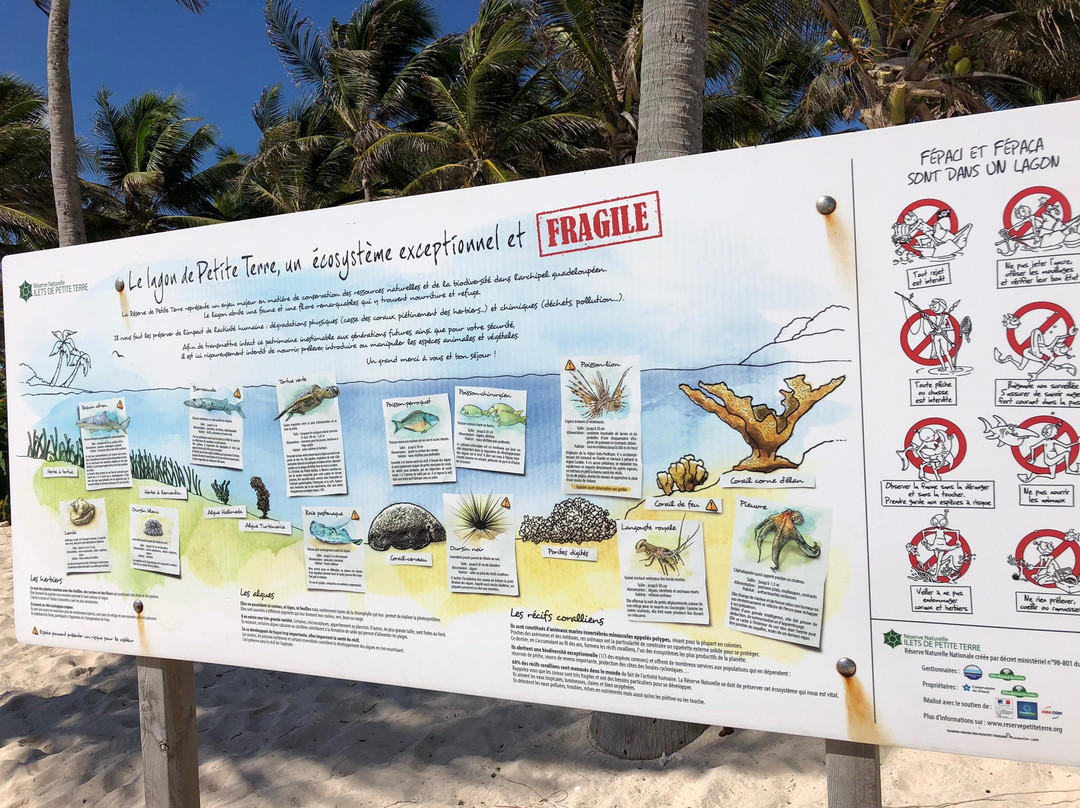 Gwada Walk Tour-Saint Francois必去景点