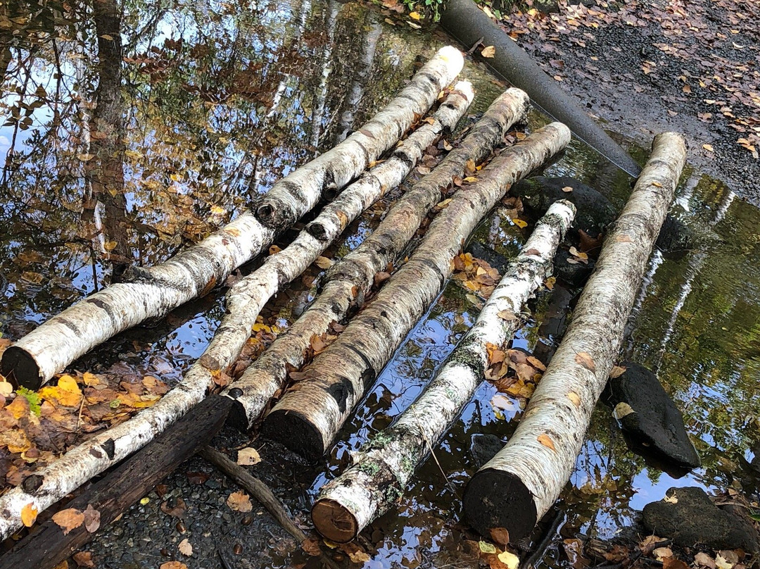 Zengoro Fall-松本市必去景点