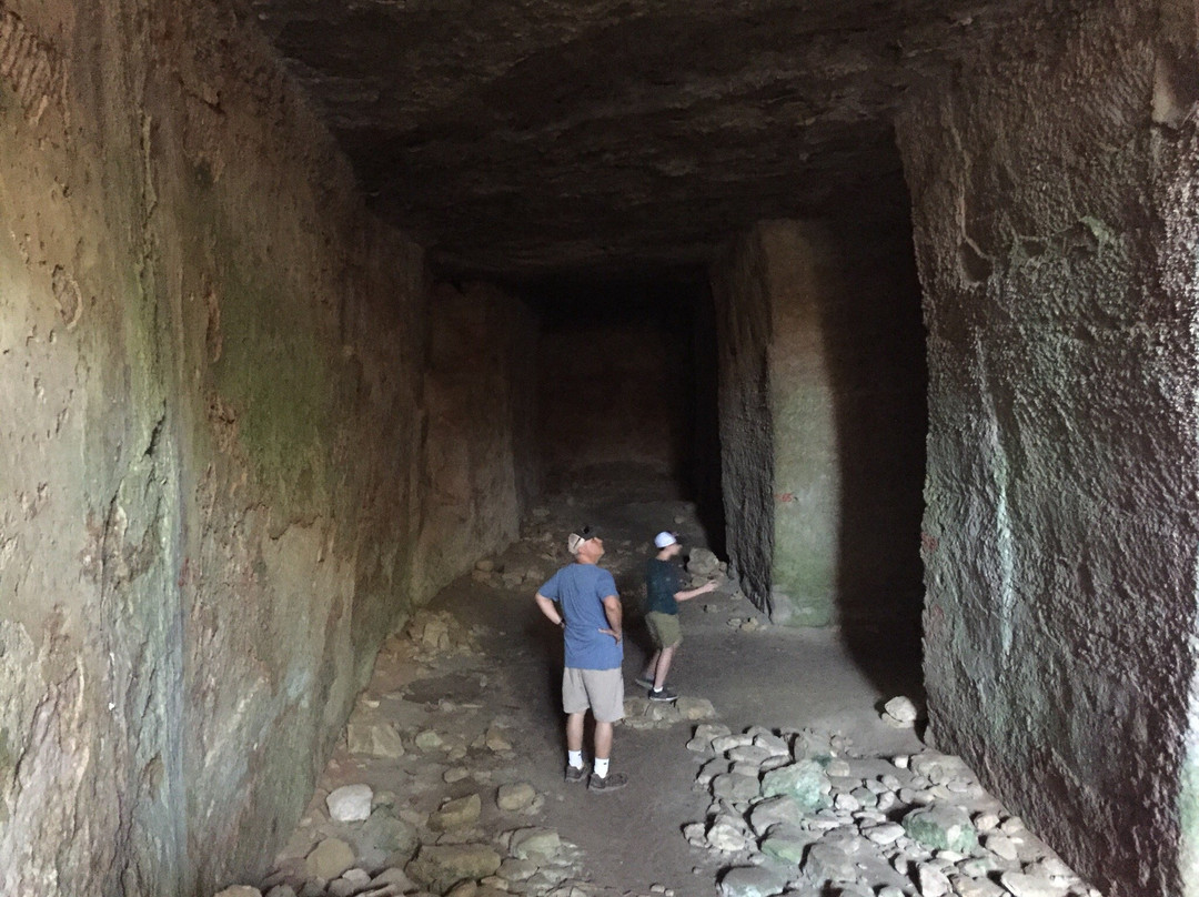 Museum of Ancient Eleutherna-Eletherna必去景点