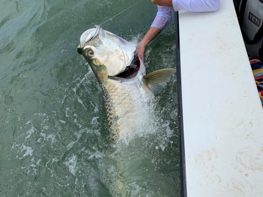 Charleston Inshore Fishing Charters Grey Ghost-查尔斯顿必去景点