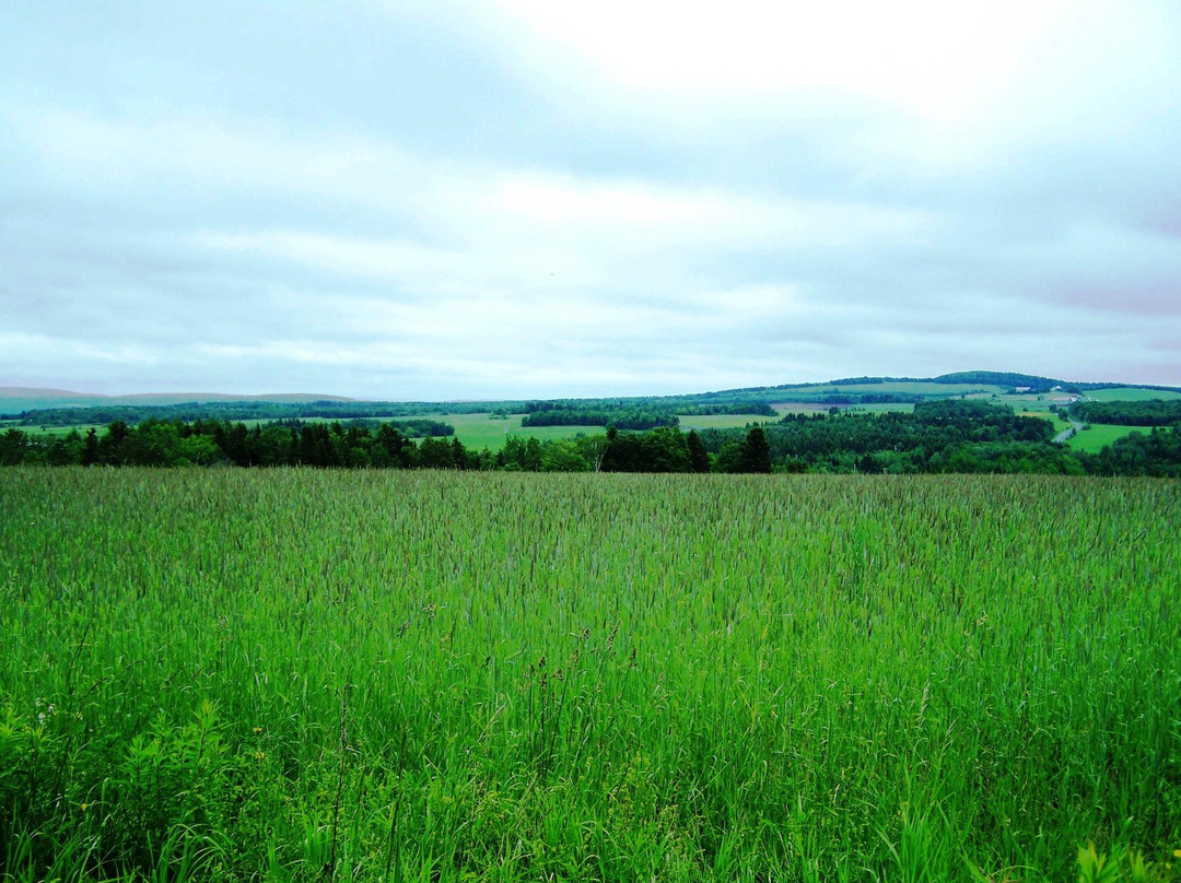 Tronçon Sénescoupé du Sentier National