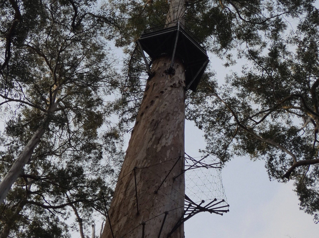 Warren National Park-彭伯顿必去景点