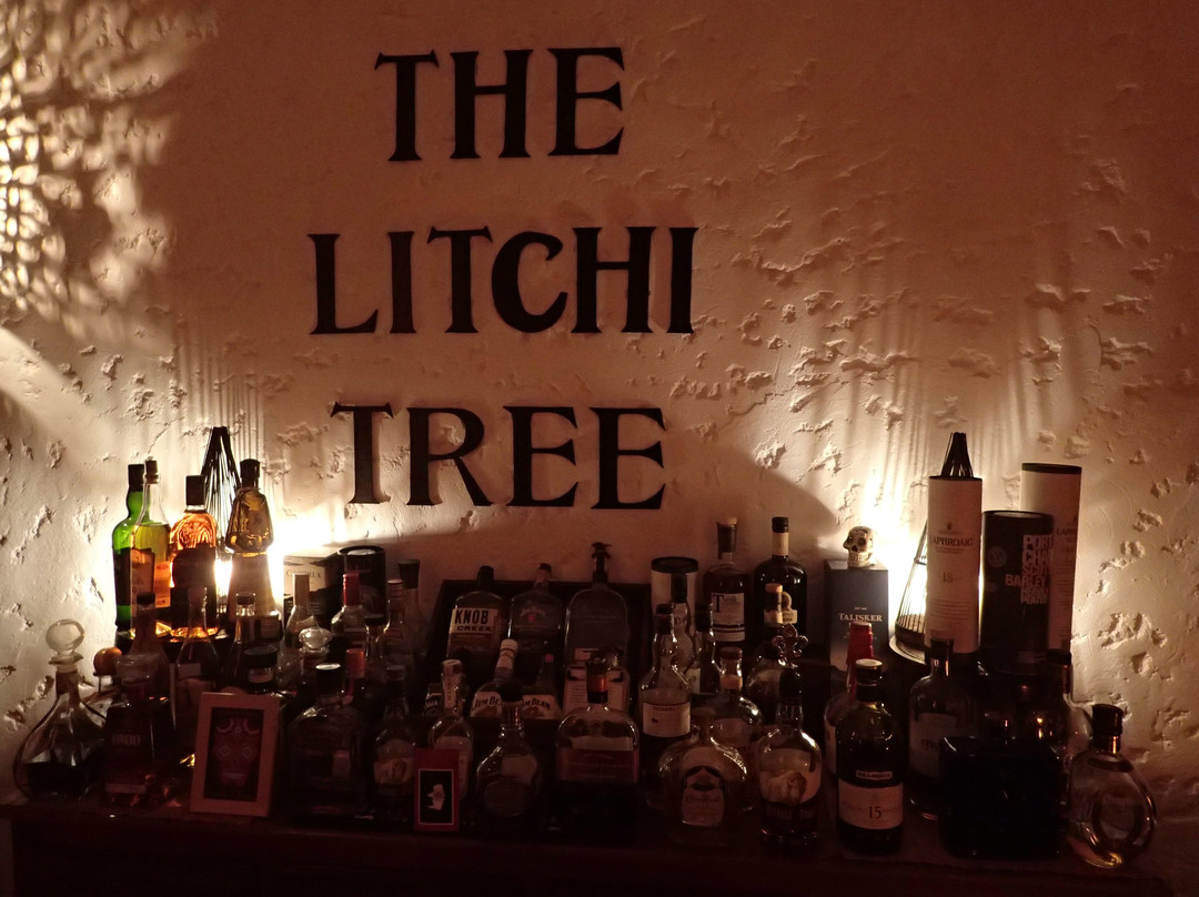 The Litchi Tree主图