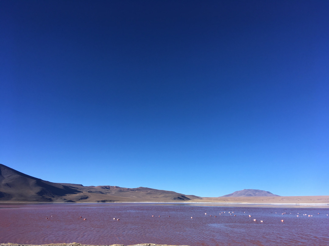 Laguna Canapa-乌尤尼必去景点