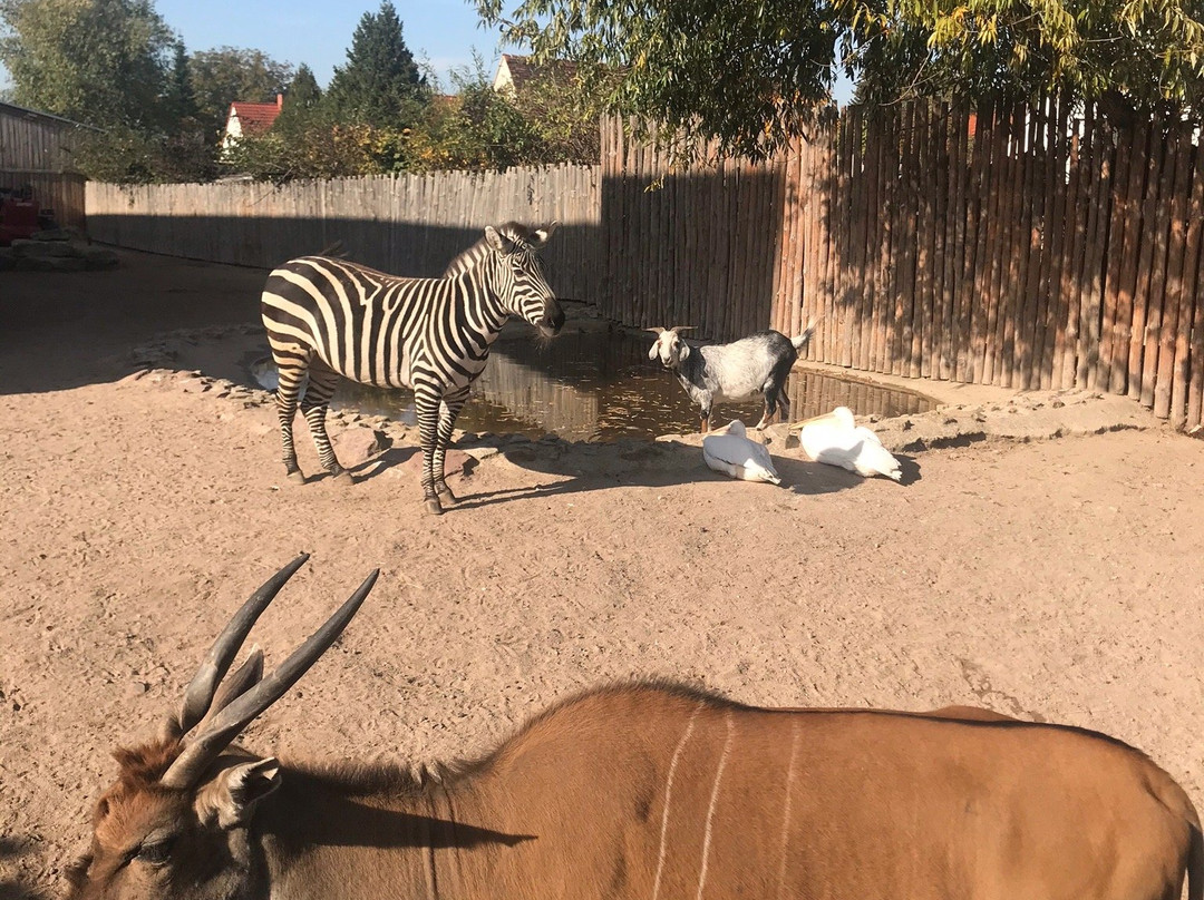 Erlebnispark Memleben-Memleben必去景点