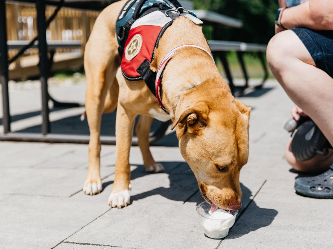 Limington餐馆和美食-Papa's Ice Cream